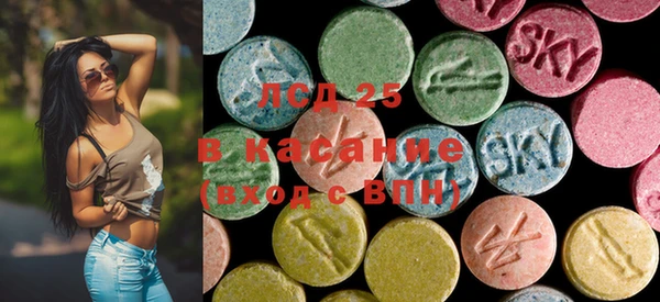ECSTASY Алзамай