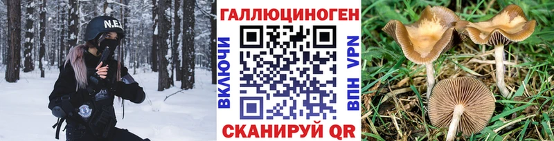 как найти наркотики  Обоянь  Галлюциногенные грибы Psilocybine cubensis 
