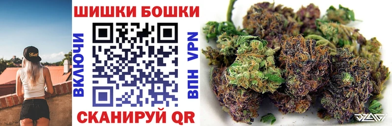 Каннабис SATIVA & INDICA  Обоянь 